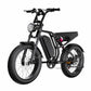 Rooder SU8 Fat Tire Electric Bike 1500W 52V 20Ah 25KM/H CE for Sale