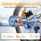 Rooder Smart20 Folding Electric Bike  - 250w motor