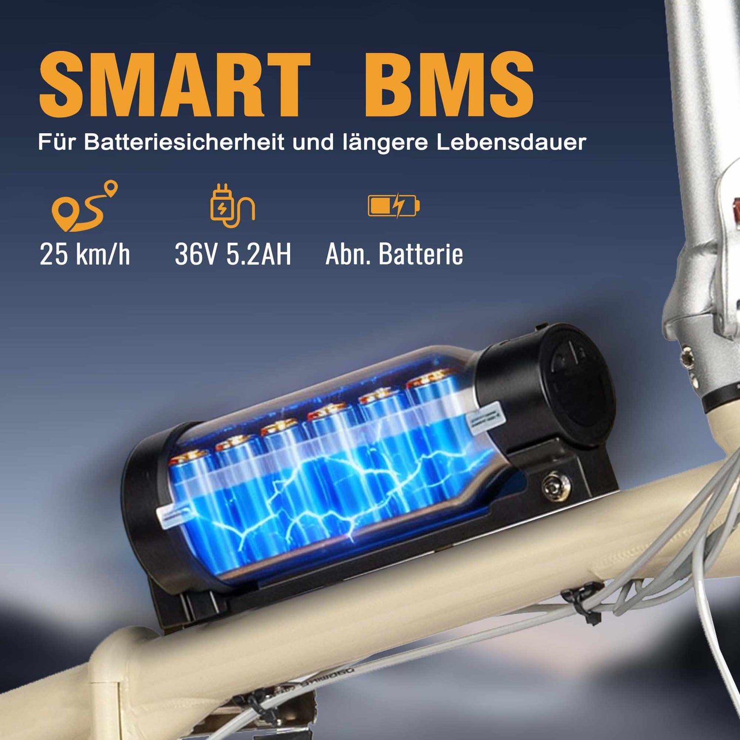 Rooder Smart20 Folding Electric Bike  - smart bms battery
