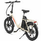 Rooder MULE Folding Electric Bicycle - Rear View and Cargo Rack Details