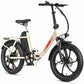 Rooder MULE Folding Electric Bicycle - right side angle