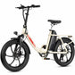Rooder MULE Folding Electric Bicycle -white background