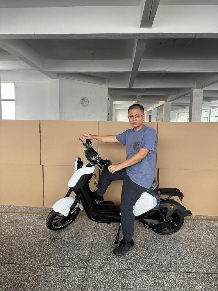 1500W Scooter: Powerful Electric Scooters for Intense Rides