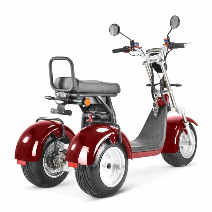 3 Wheel Electric Scooter Rooder r804t9 4000w 40ah