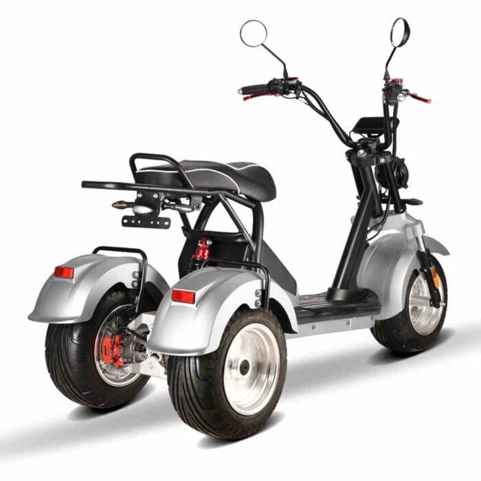 3 Wheel Scooter Rooder hm7 4000w 40ah