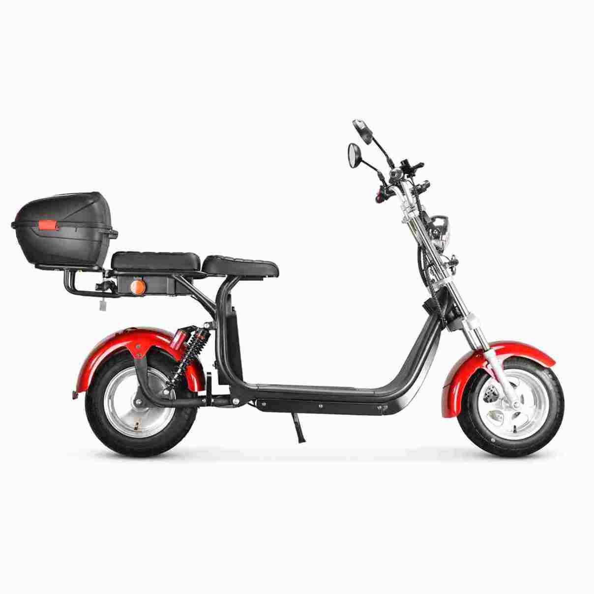 Adult Electric Motorcycle