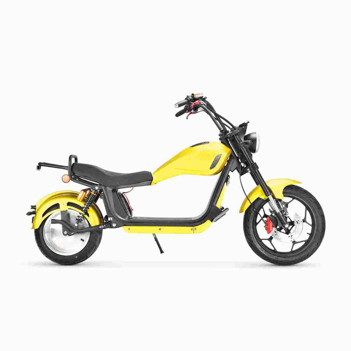 Citycoco Fat Tire Scooter