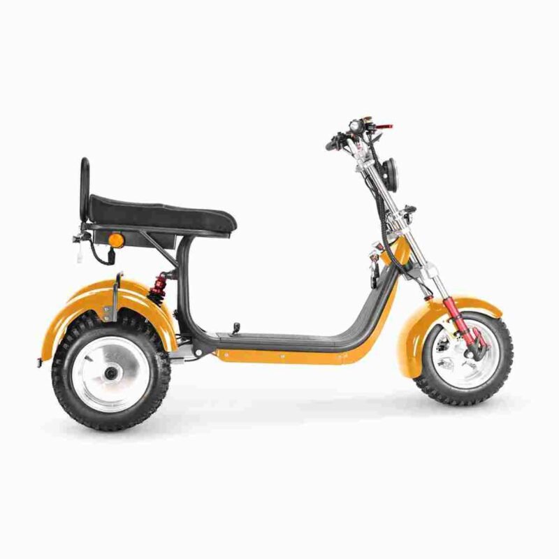 Citycoco Scooter Price