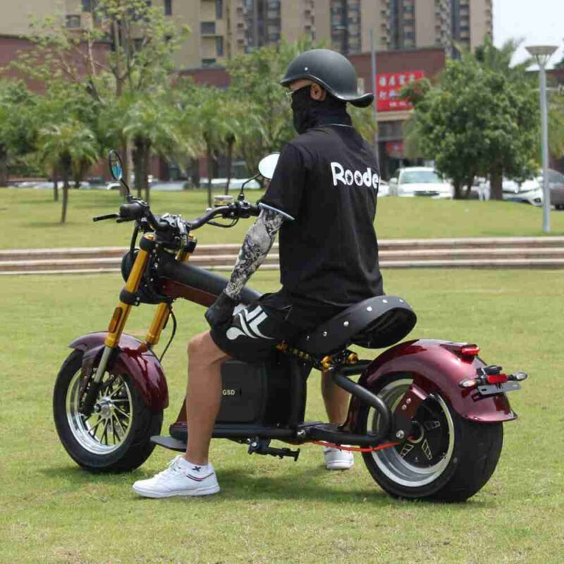 Rooder knight m8s electric motorcycle EEC L3E-A1 80kmph