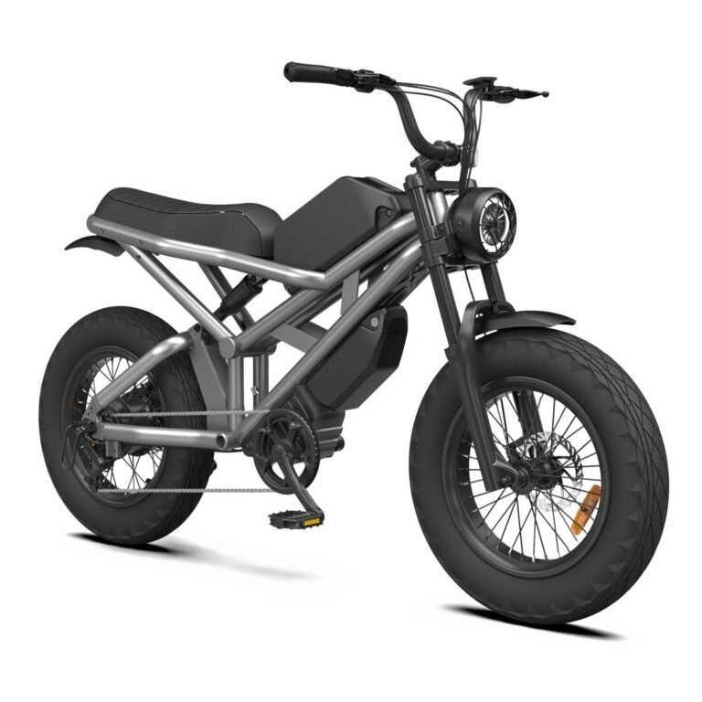 Rooder - Citycoco, Citycoco Chopper, Electric Bicycles, Electric 