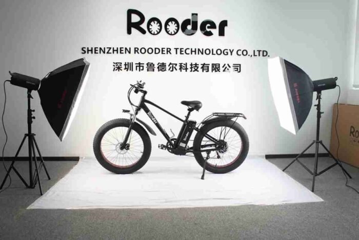 20 Folding E Bike