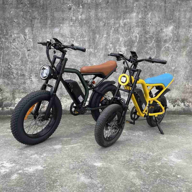 2000w electric bike