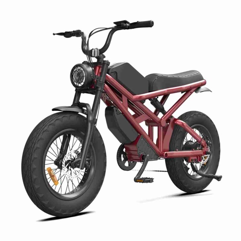 250w Folding Electric Bike