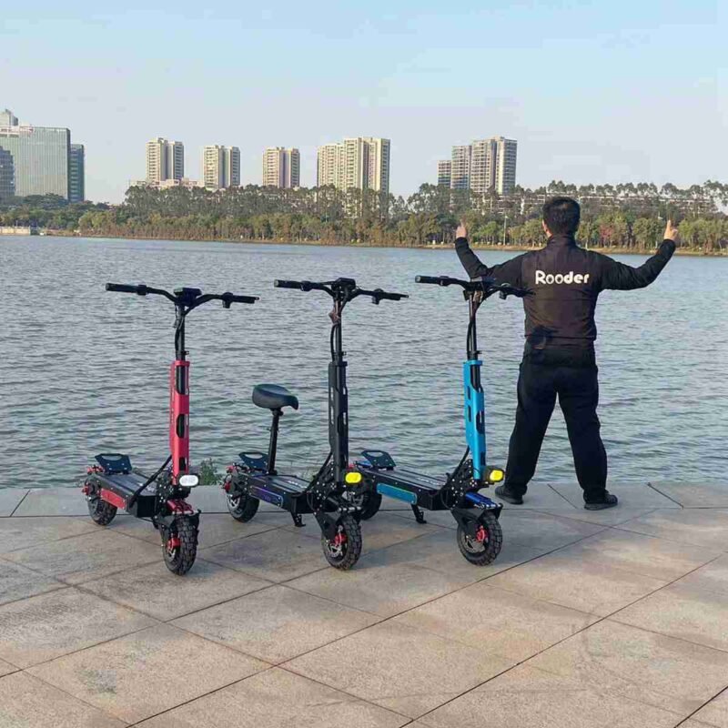 3 Wheel Folding Electric Scooter