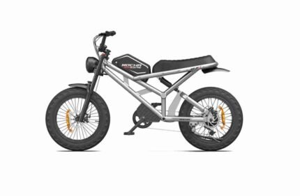 3 wheel electric bike