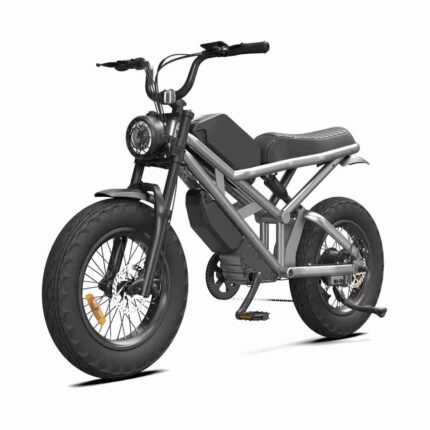 48v Electric Dirt Bike