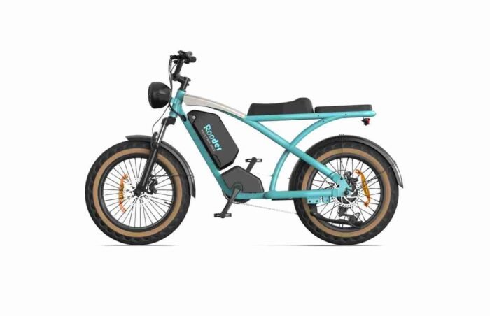 750 watt electric bike