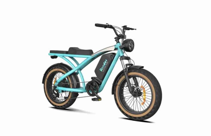 750w ebike