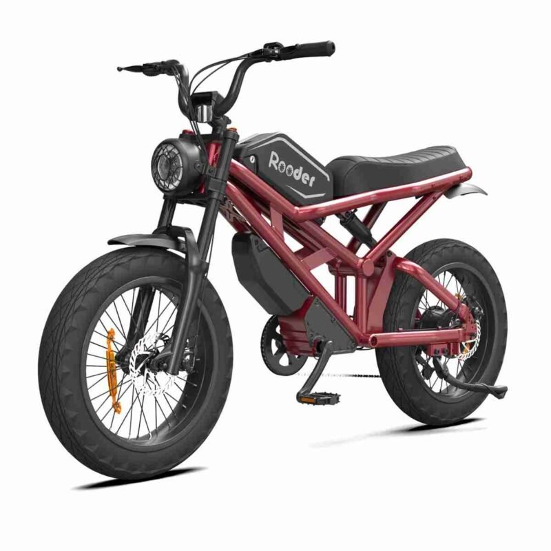 750w Fat Tire Ebike