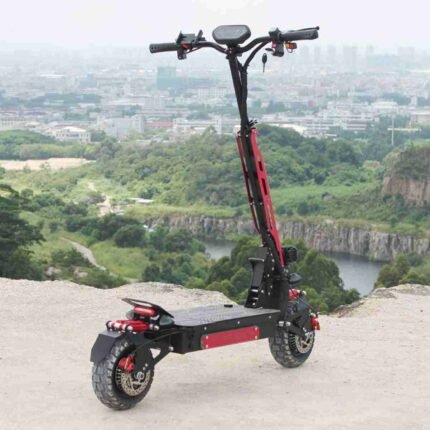 Adult Electric Scooters