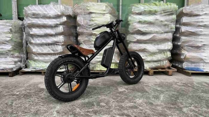 Adult Fat Tire Electric Bike