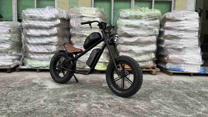 Adult Size Electric Dirt Bike