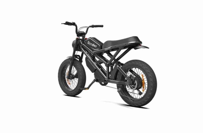 Aluminum Folding Electric Bike