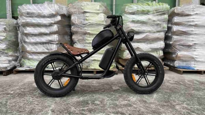 Best 20 Inch Folding Electric Bike