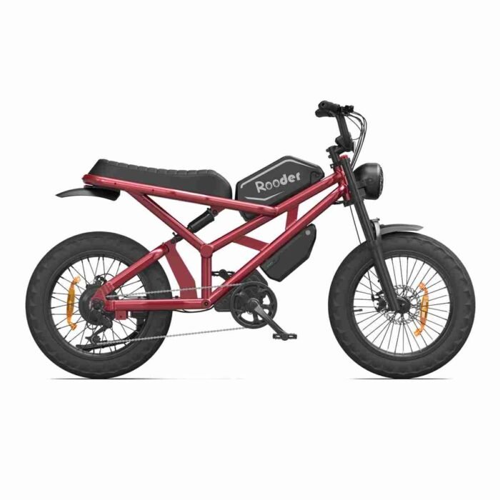 Best Fat Tire Ebike Canada