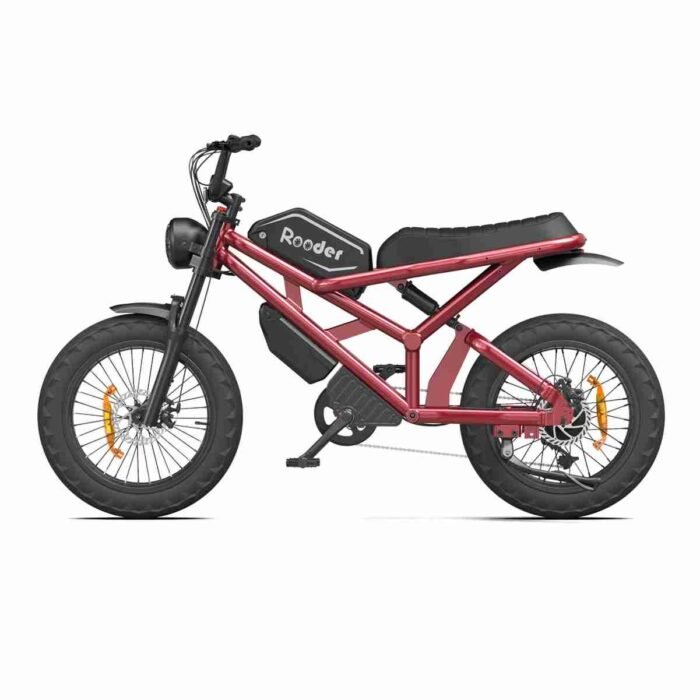 Best Fat Tyre Electric Bike