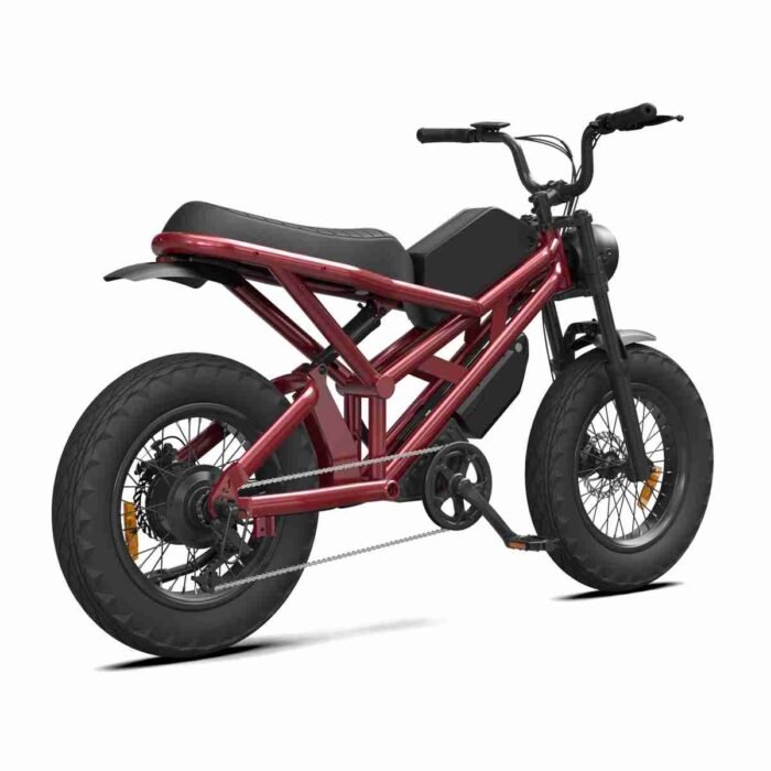 Big Wheel Electric Dirt Bike