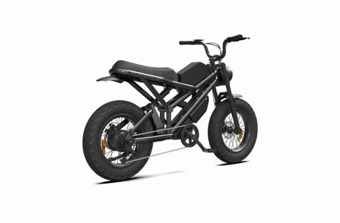 Budget Electric Bike