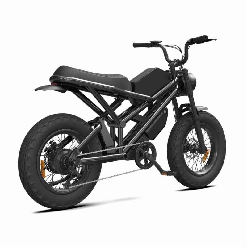 China Electric Bikes