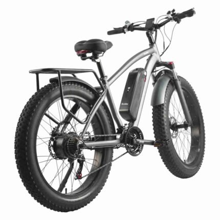 City Ebike