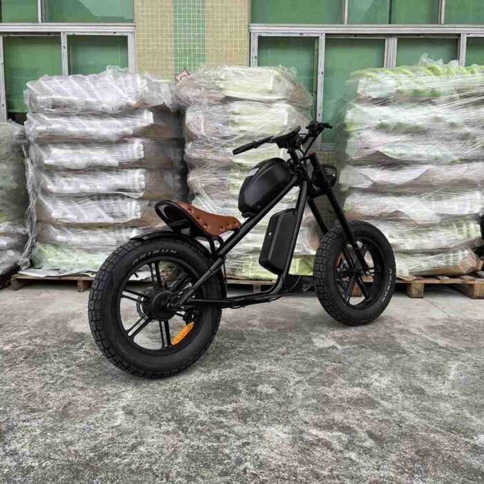 Dirt Bike Ebike