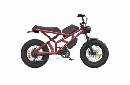 E Bike Folding Bike