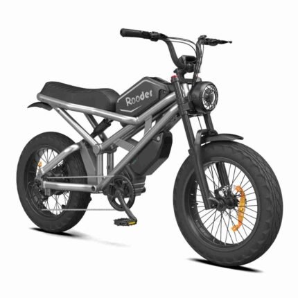 Electr Bike Eu