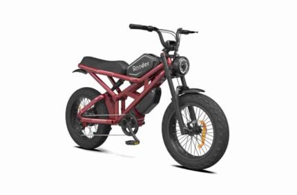 Electric Bike 1000w