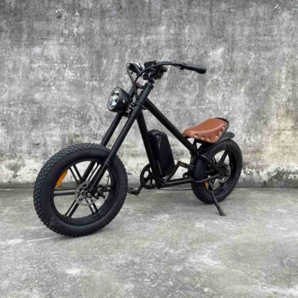 Electric Bike For Sale