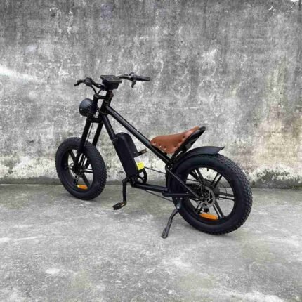 electric bike for teenager
