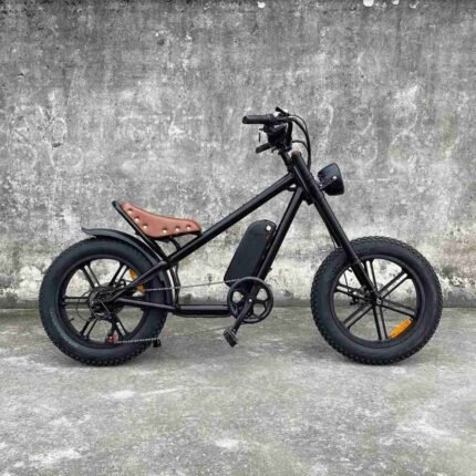 Electric Bike High Speed