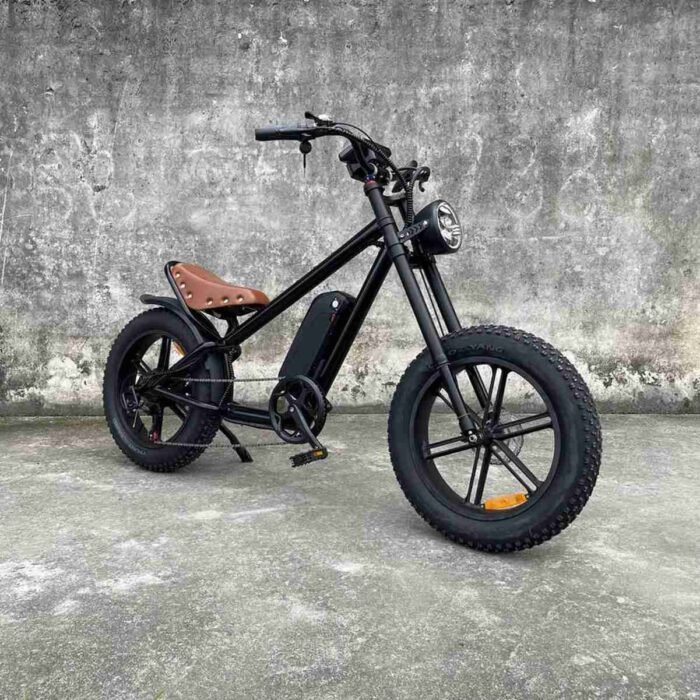 Electric Bike Made In China