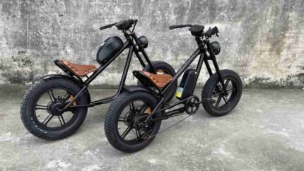 Electric Bike With Thick Tyres