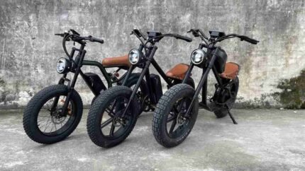 Electric Bikes For Adults Two Wheels