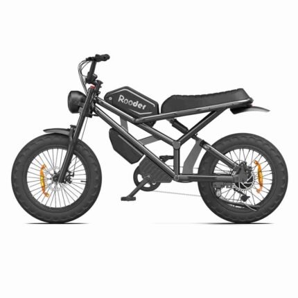 Electric Dirt Bike Adult