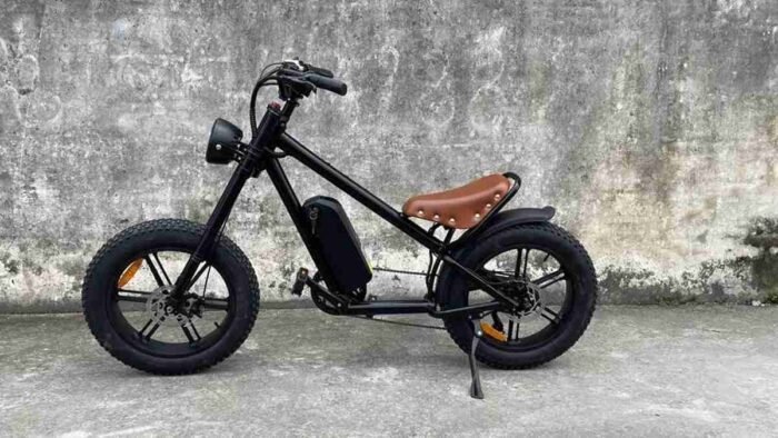 Electric Dirt Bike Bicycle