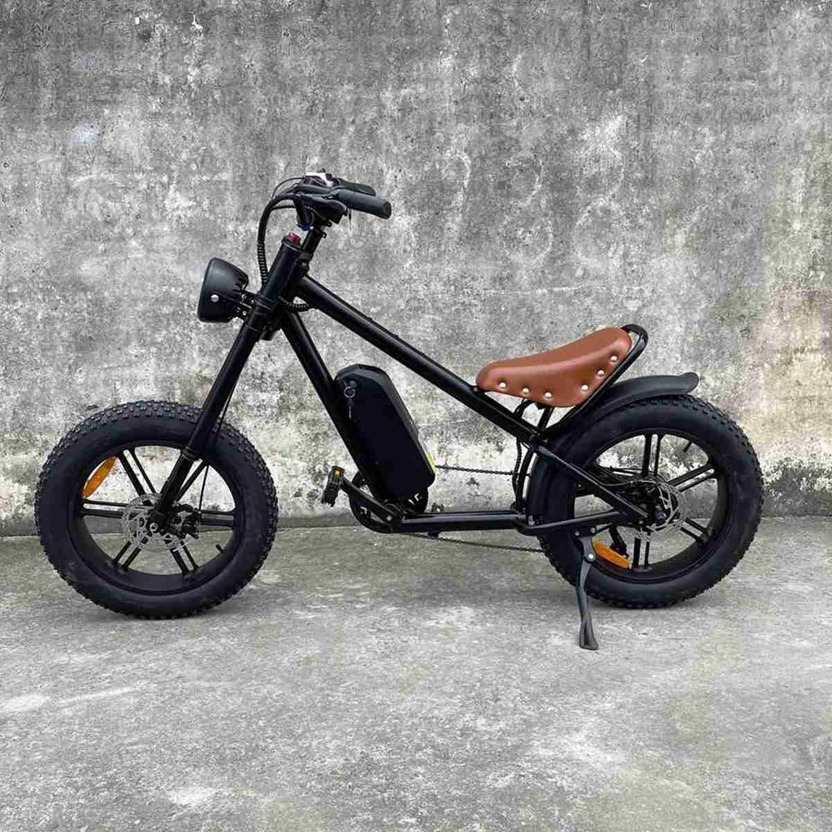 Electric Dirt Bike For Adults Price