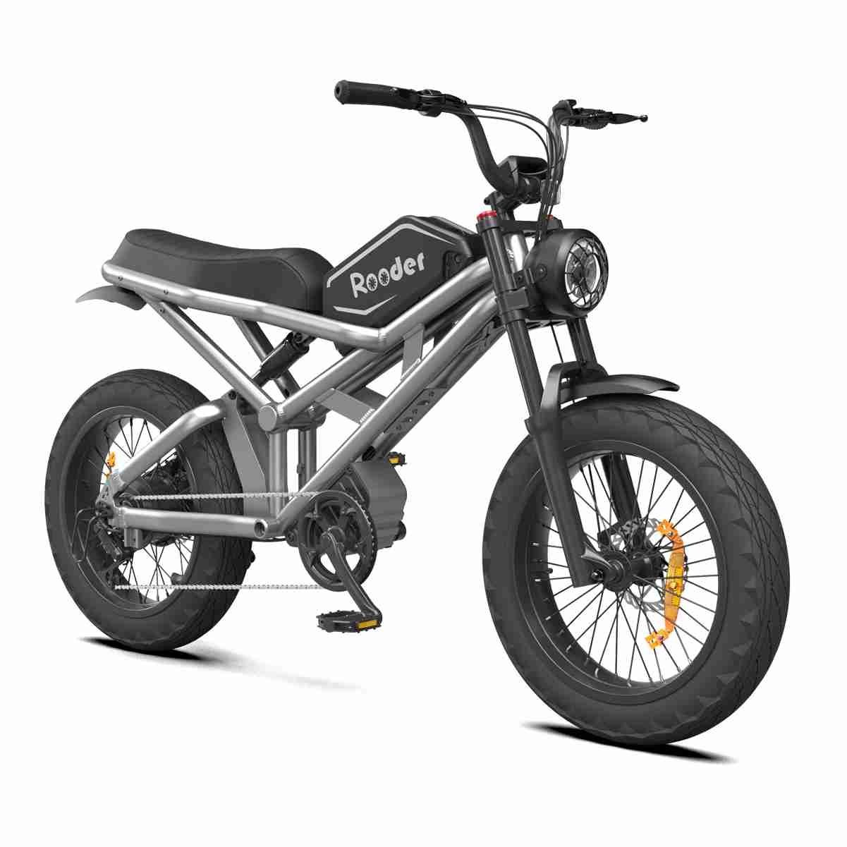 Electric Fat Tire Bike