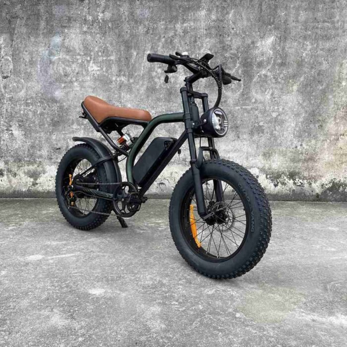 Electric Folding Bike 16 Inch