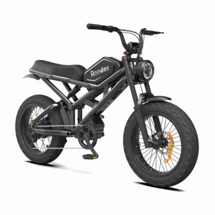 Electric Folding Bike Price